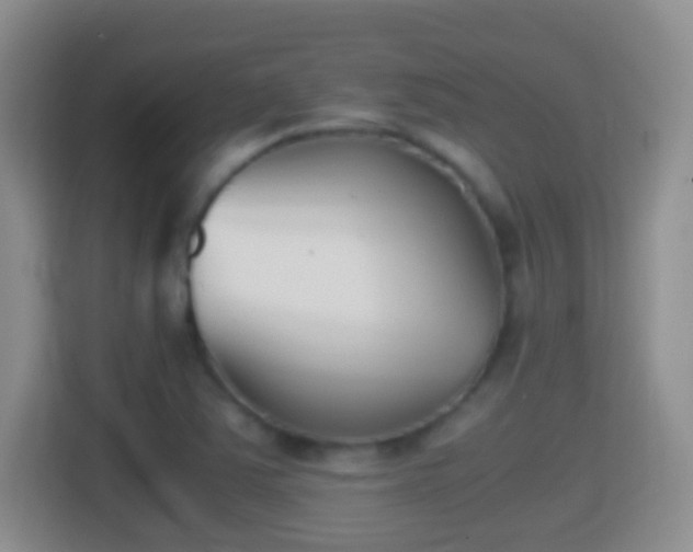 X0000114411363200910231124