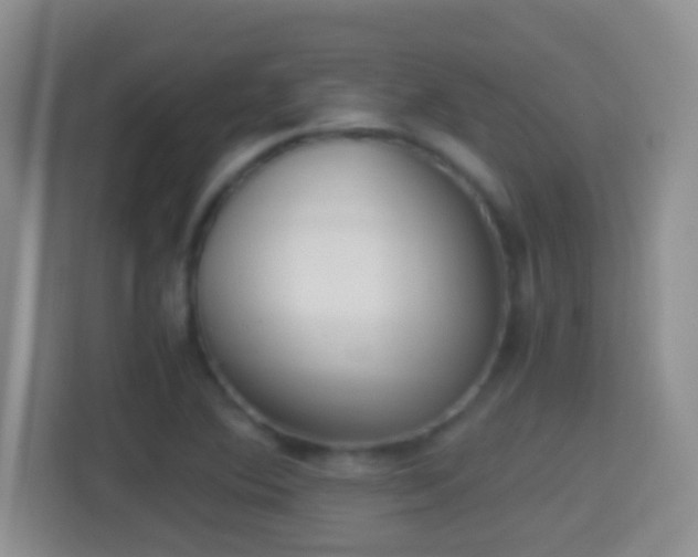 X0000114411364200910231124