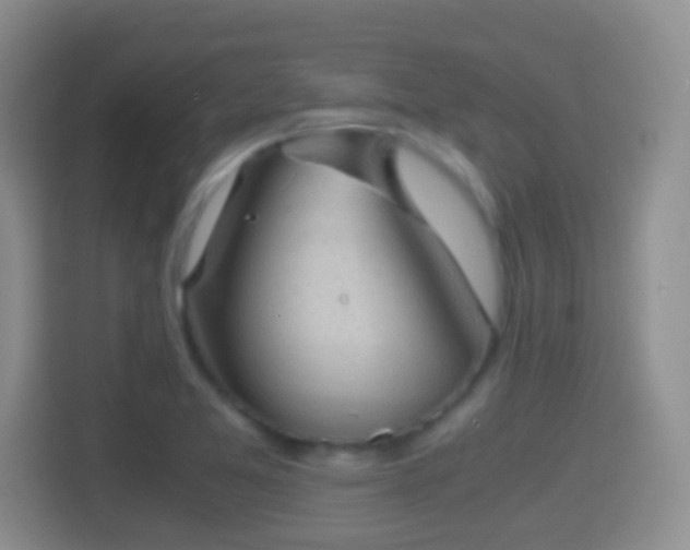 X0000114411365200910231124