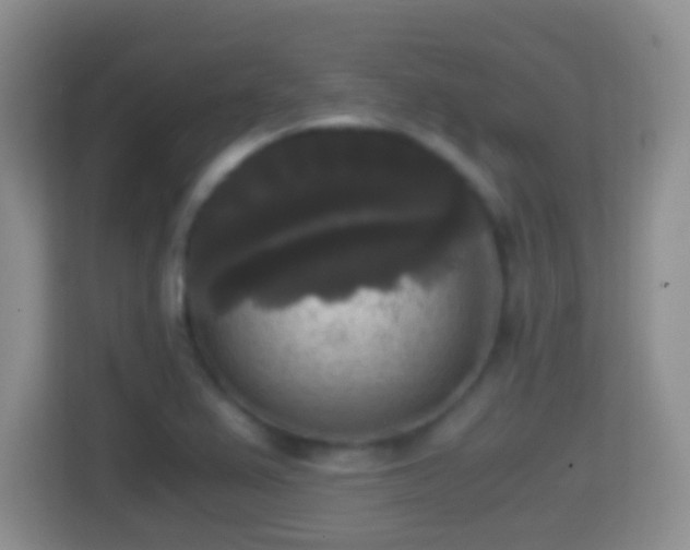 X0000114411367200910231124