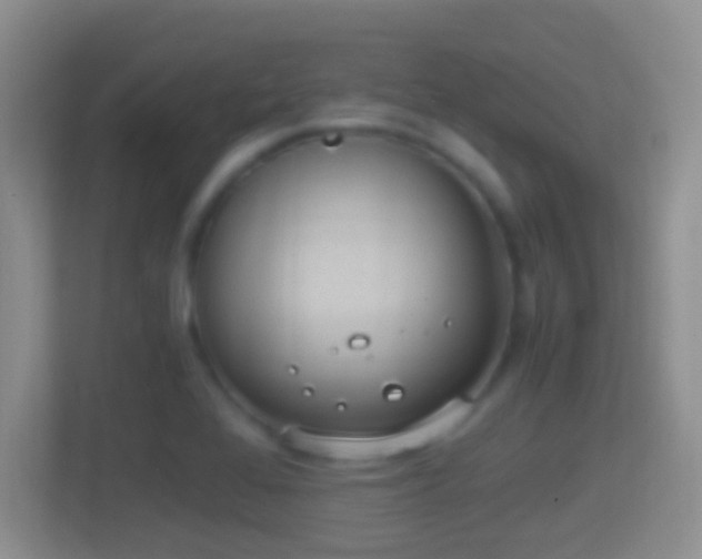 X0000114411368200910231124
