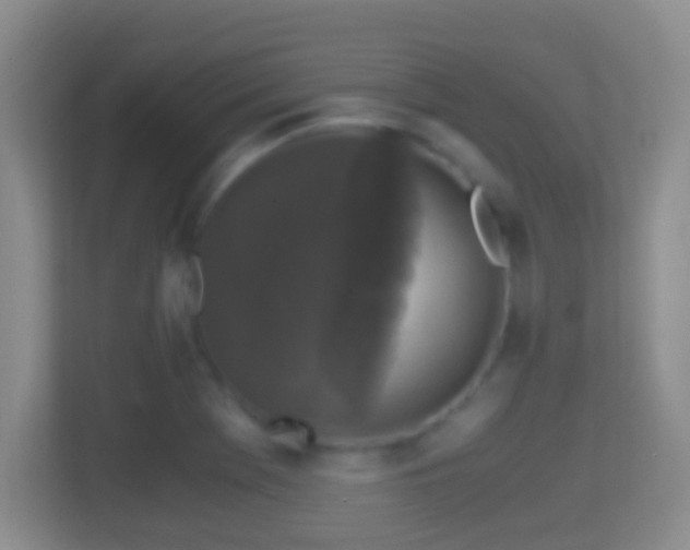 X0000114411369200910231124