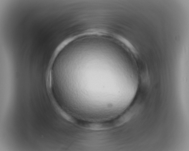 X0000114411371200910231124