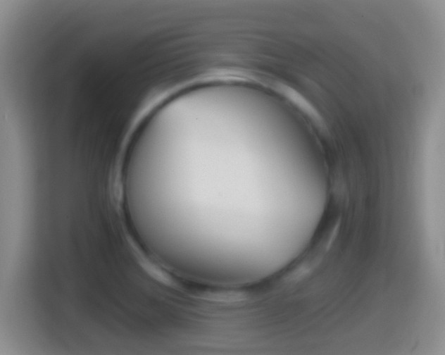 X0000114411372200910231124