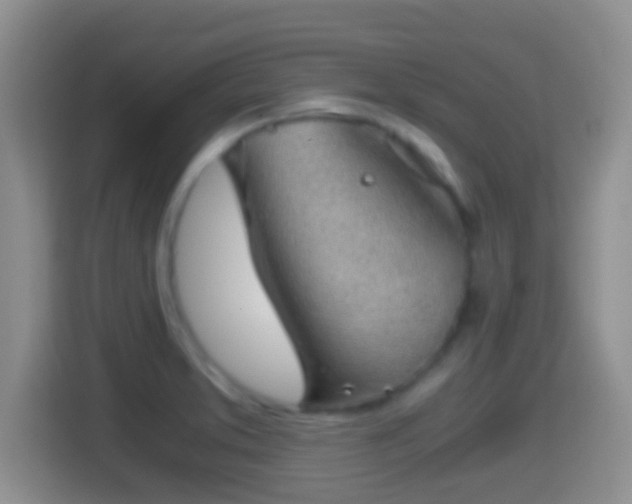 X0000114411373200910231124