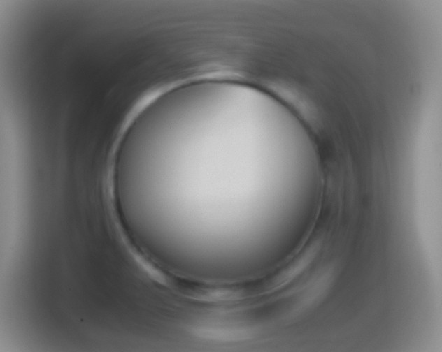X0000114411375200910231124