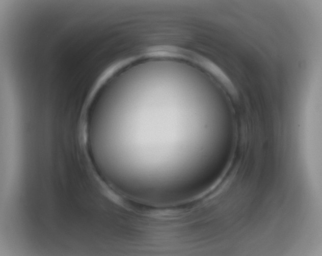 X0000114411376200910231124