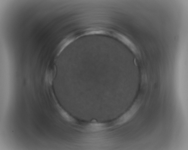 X0000114411377200910231123