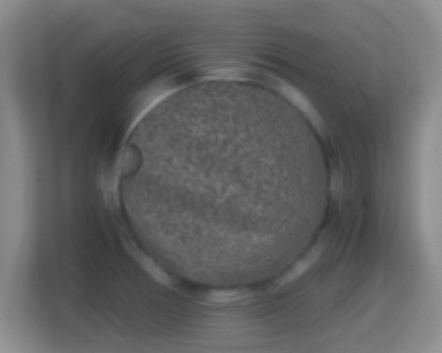 X0000114411378200910231123