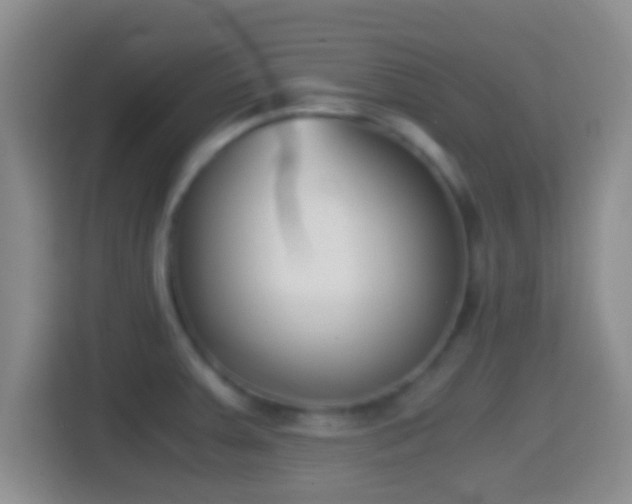 X0000114411379200910231123