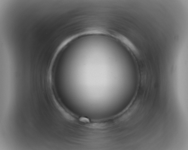 X0000114411380200910231123