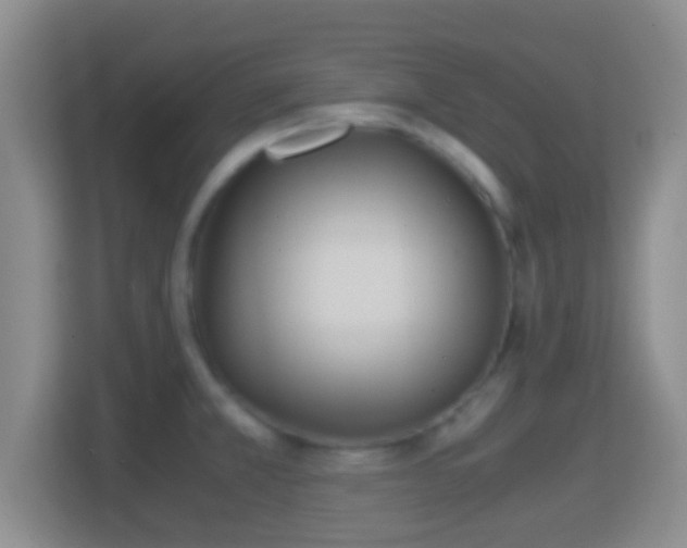 X0000114411381200910231123
