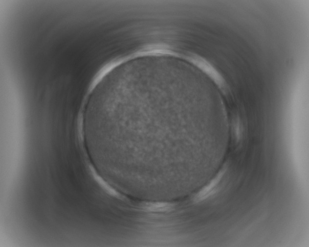 X0000114411382200910231123