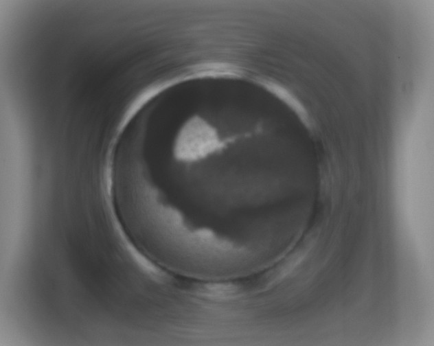 X0000114411383200910231123