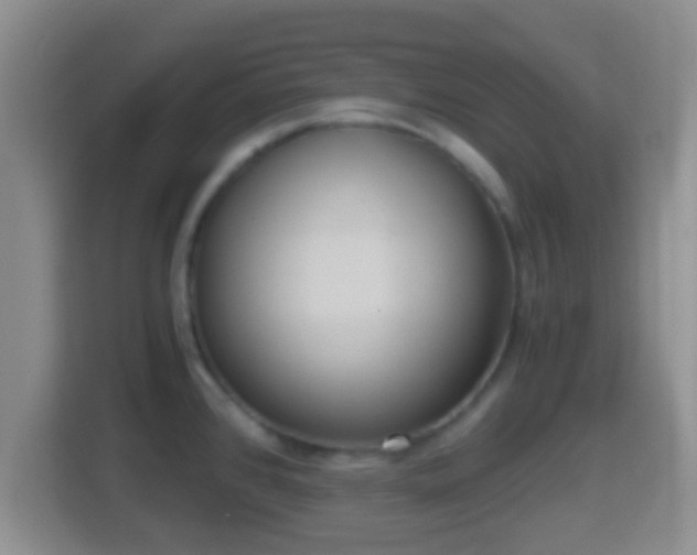 X0000114411384200910231123