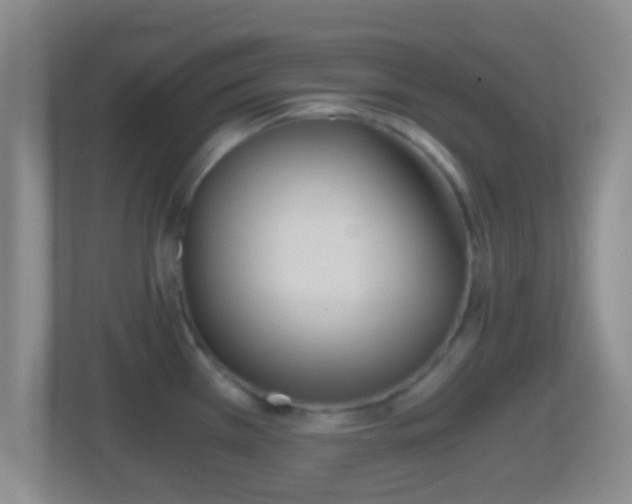 X0000114411385200910231123