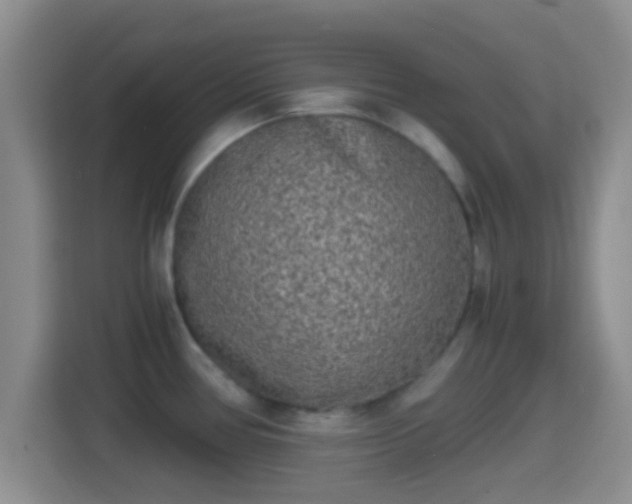 X0000114411386200910231123