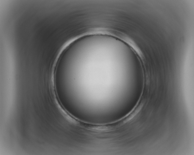 X0000114411388200910231123
