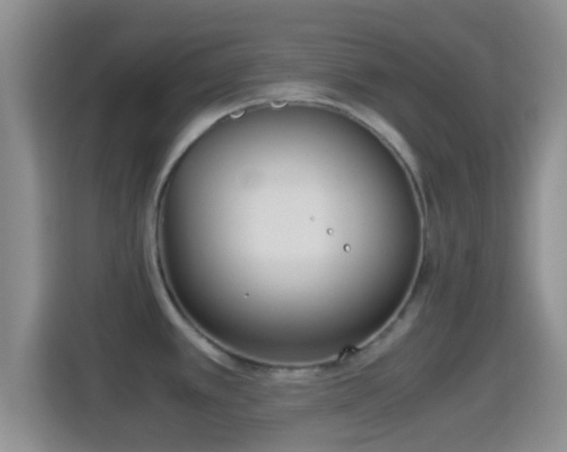 X0000114411389200910231123