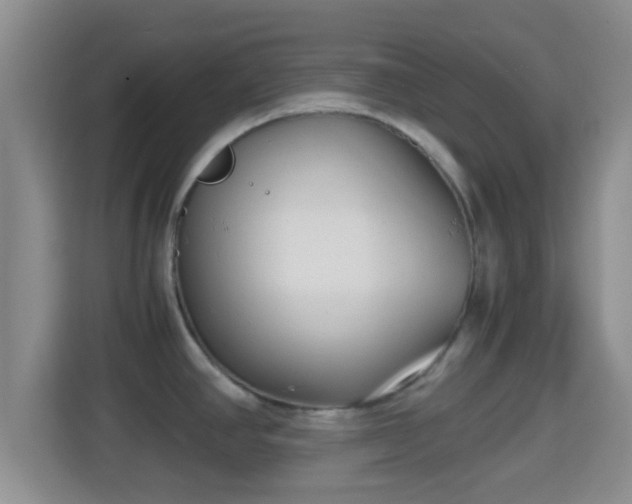 X0000114411390200910231123