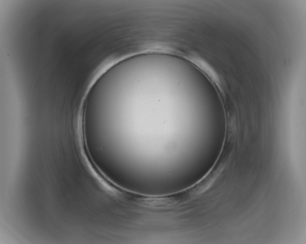 X0000114411391200910231123