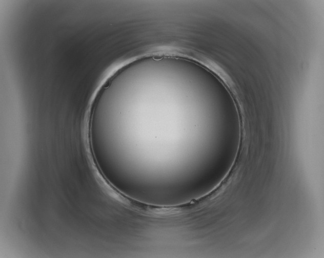 X0000114411392200910231123