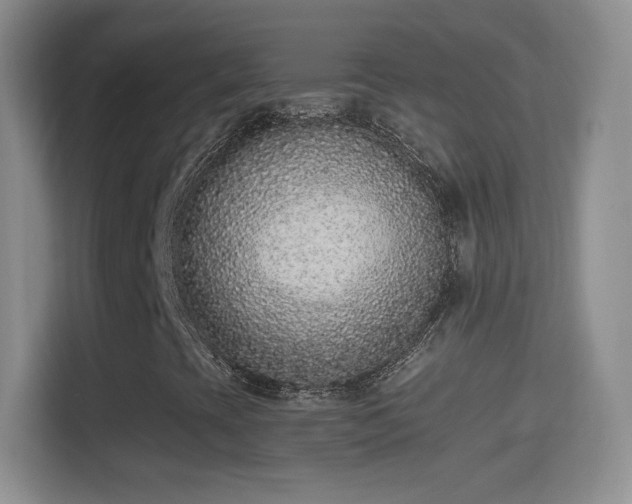 X0000114411393200910231123