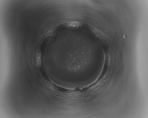 X0000114411394200910231123