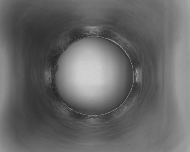X0000114411395200910231123