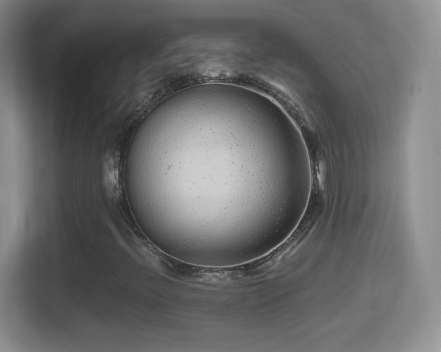 X0000114411396200910231123