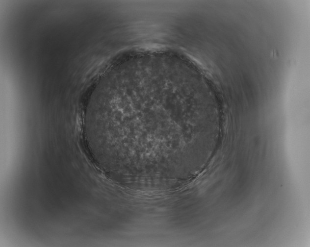 X0000114411397200910231123