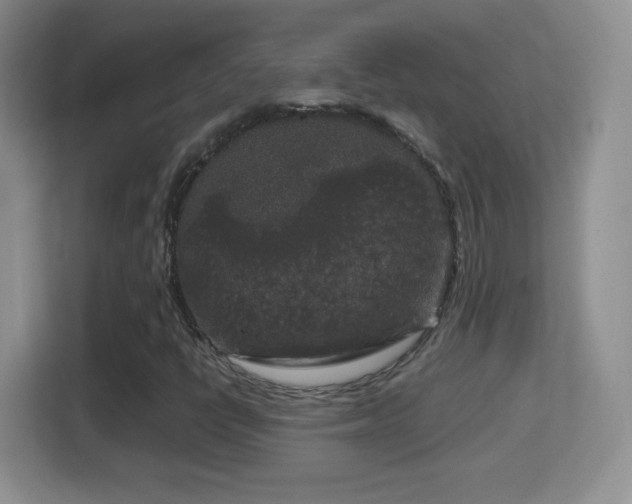 X0000114411398200910231123
