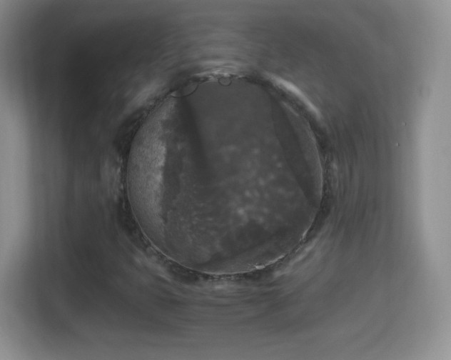 X0000114411399200910231123