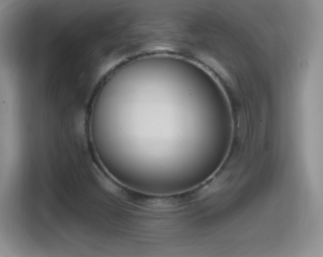 X0000114411404200910231123