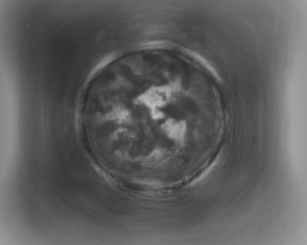 X0000114411405200910231123