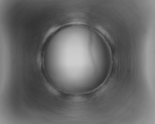 X0000114411408200910231123