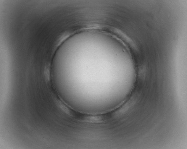 X0000114411409200910231123