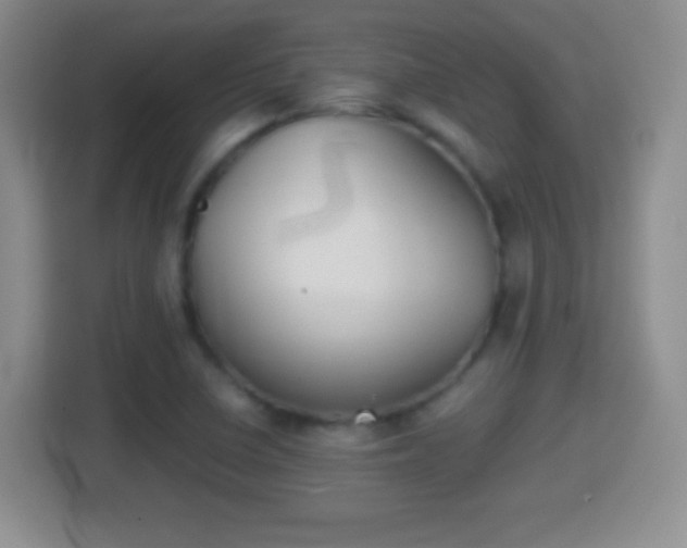 X0000114411410200910231123