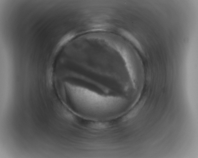 X0000114411411200910231123