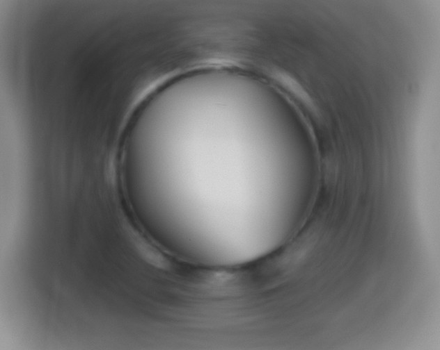 X0000114411412200910231123