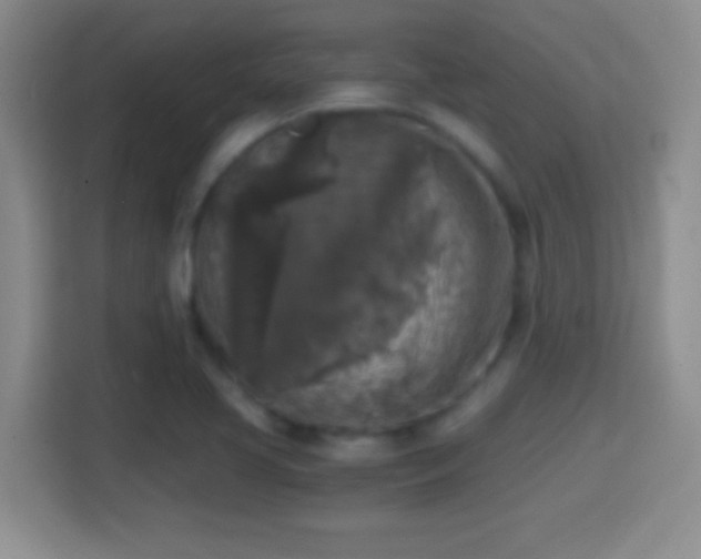 X0000114411413200910231123