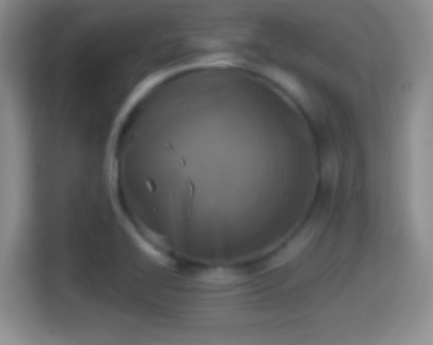 X0000114411414200910231123