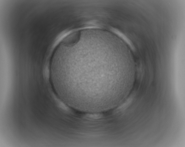 X0000114411415200910231123