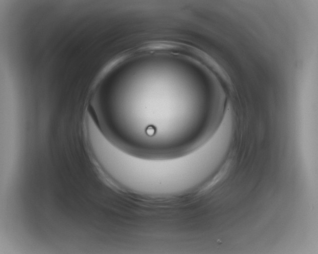 X0000114411417200910231123