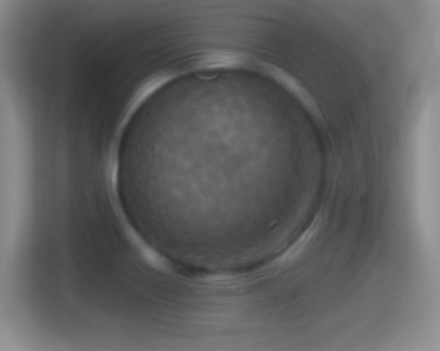 X0000114411418200910231123