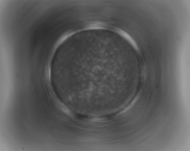 X0000114411419200910231123