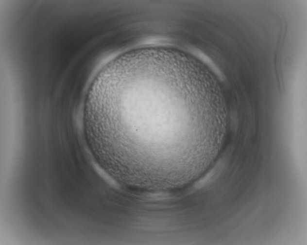 X0000114411421200910231123