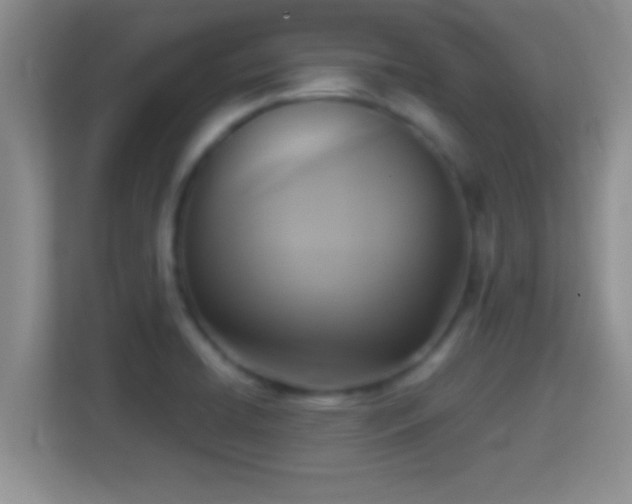 X0000114411422200910231123