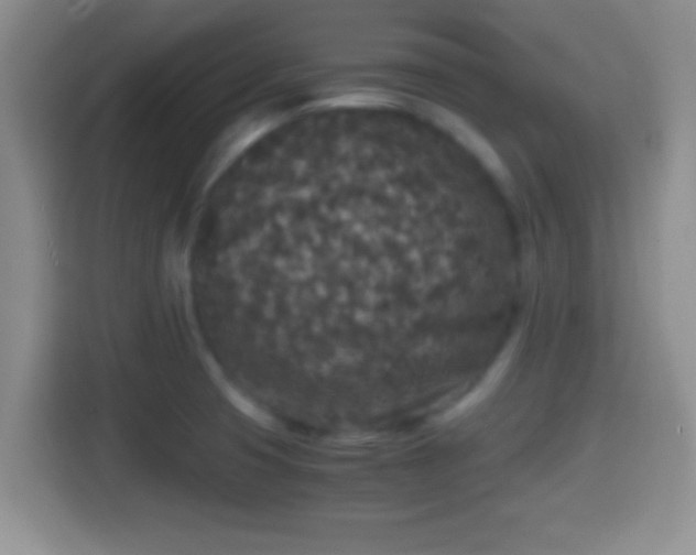 X0000114411425200910231123