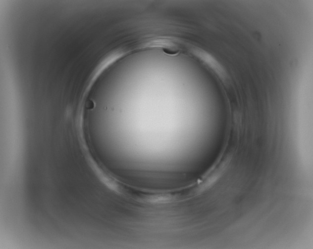 X0000114411426200910231123